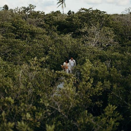 Nativus Glamping & Cenote Tulum酒店 外观 照片