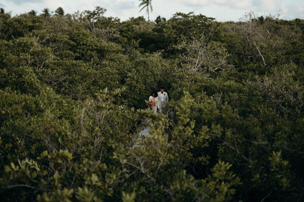 Nativus Glamping & Cenote Tulum酒店 外观 照片