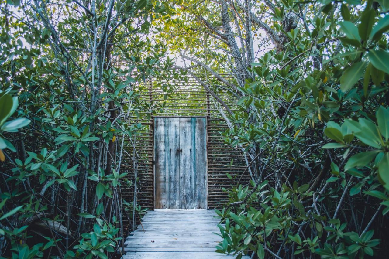 Nativus Glamping & Cenote Tulum酒店 外观 照片